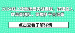 2024线上流量操盘实战课程,搭建高人效流量团队,掌握多平台流量-淘金日记