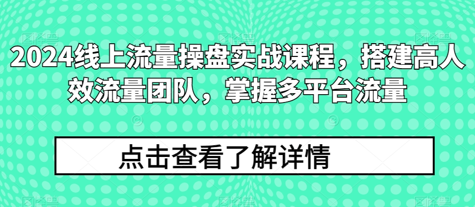2024线上流量操盘实战课程,搭建高人效流量团队,掌握多平台流量-淘金日记