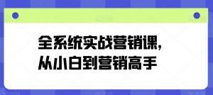 全系统实战营销课,从小白到营销高手-淘金日记