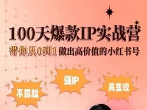 小红书100天爆款IP实战营,带你从0到1做出高价值的小红书号-淘金日记