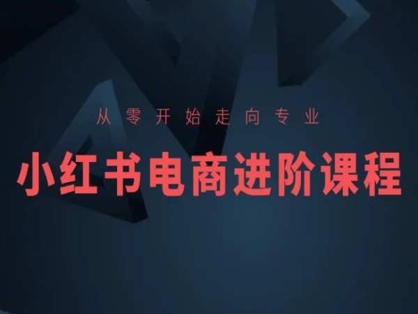 从零开始走向专业，小红书电商进阶课程-淘金日记