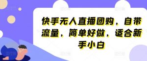 快手无人直播团购，自带流量，简单好做，适合新手小白【揭秘】-淘金日记