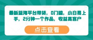 最新蓝海平台带货，0门槛，小白易上手，2分钟一个作品，收益高【揭秘】-淘金日记