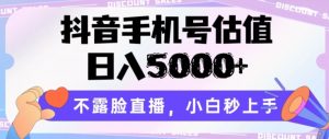 抖音手机号估值,日入5000+,不露脸直播,小白秒上手【揭秘】-淘金日记