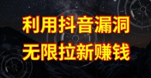 利用抖音链接漏洞，无限拉新赚钱【漏洞原理+操作流程】【揭秘】-淘金日记