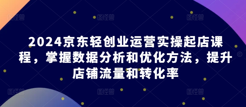 2024京东轻创业运营实操起店课程，掌握数据分析和优化方法，提升店铺流量和转化率-淘金日记