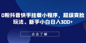 0粉抖音快手挂载小程序,超级变脸玩法,新手小白日入300+【揭秘】-淘金日记