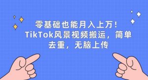 零基础也能月入上w，TikTok风景视频搬运，简单去重，无脑上传【揭秘】-淘金日记