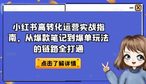 小红书高转化运营实战指南，从爆款笔记到爆单玩法的链路全打通-淘金日记