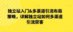 独立站入门&多渠道引流布局策略,详解独立站如何多渠道引流获客-淘金日记