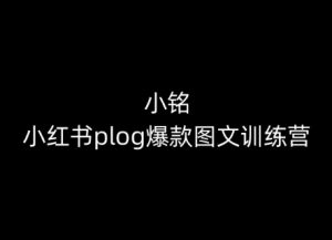 小铭-小红书plog爆款图文训练营,教你从0-1做小红书-淘金日记