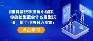 0粉抖音快手挂载小程序，你的脸型适合什么发型玩法，新手小白日入300+【揭秘】-淘金日记