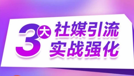 3大社媒引流实战强化,多渠道站外引流,高效精准获客,订单销售额翻倍增长-淘金日记