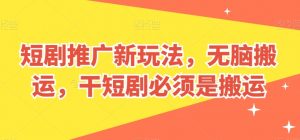 短剧推广新玩法,无脑搬运,干短剧必须是搬运【揭秘】-淘金日记