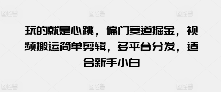 玩的就是心跳,偏门赛道掘金,视频搬运简单剪辑,多平台分发,适合新手小白【揭秘】-淘金日记