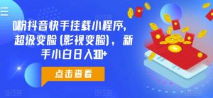 0粉抖音快手挂载小程序,超级变脸(影视变脸),新手小白日入300+【揭秘】-淘金日记