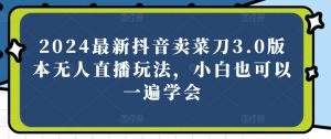2024最新抖音卖菜刀3.0版本无人直播玩法,小白也可以一遍学会【揭秘】-淘金日记