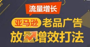 亚马逊流量增长-老品广告放量增效打法,循序渐进,打造更多TOP listing-淘金日记