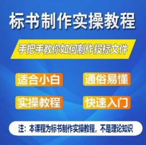 标书制作实操教程,手把手教你如何制作授标文件,零基础一周学会制作标书-淘金日记