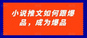 小说推文如何跟爆品，成为爆品【揭秘】-淘金日记