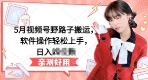 5月视频号野路子搬运,软件操作轻松上手,日入三位数【揭秘】-淘金日记