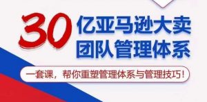 30亿亚马逊大卖团队管理体系,一套课,帮你重塑管理体系与管理技巧-淘金日记