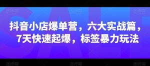 抖音小店爆单营，六大实战篇，7天快速起爆，标签暴力玩法-淘金日记