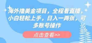 海外撸美金项目，全程看直播，小白轻松上手，日入一两张，可多账号操作【揭秘】-淘金日记