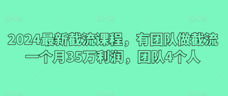 2024最新截流课程,有团队做截流一个月35万利润,团队4个人-淘金日记