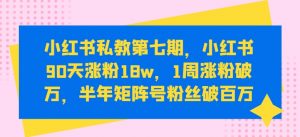 小红书私教第七期，小红书90天涨粉18w，1周涨粉破万，半年矩阵号粉丝破百万-淘金日记