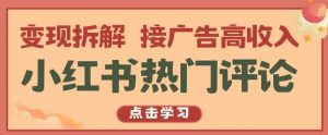 小红书热门评论，变现拆解，接广告高收入【揭秘 】-淘金日记