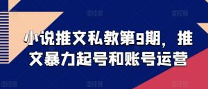 小说推文私教第9期，推文暴力起号和账号运营-淘金日记