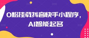 0粉挂载抖音快手小程序，AI智能起名-淘金日记