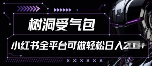 小红书等全平台树洞受气包项目,轻松日入一两张【揭秘】-淘金日记