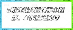 0粉挂载抖音快手小程序，AI换脸进阶课-淘金日记