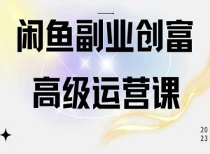 闲鱼电商运营高级课程，一部手机学会闲鱼开店赚钱-淘金日记