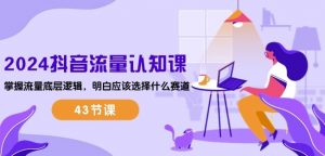 2024抖音流量认知课：掌握流量底层逻辑，明白应该选择什么赛道 (43节课)-淘金日记