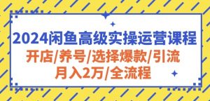 2024闲鱼高级实操运营课程:开店/养号/选择爆款/引流/月入2万/全流程-淘金日记