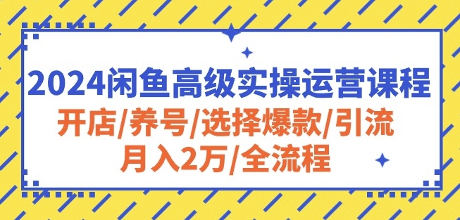 2024闲鱼高级实操运营课程:开店/养号/选择爆款/引流/月入2万/全流程-淘金日记