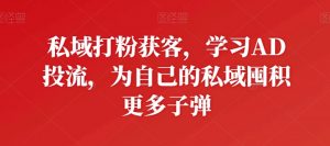 私域打粉获客,学习AD投流,为自己的私域囤积更多子弹-淘金日记