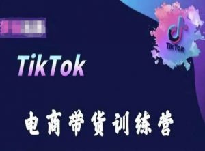 TikTok电商带货训练营,跟随时代潮流,跨境掘金-淘金日记