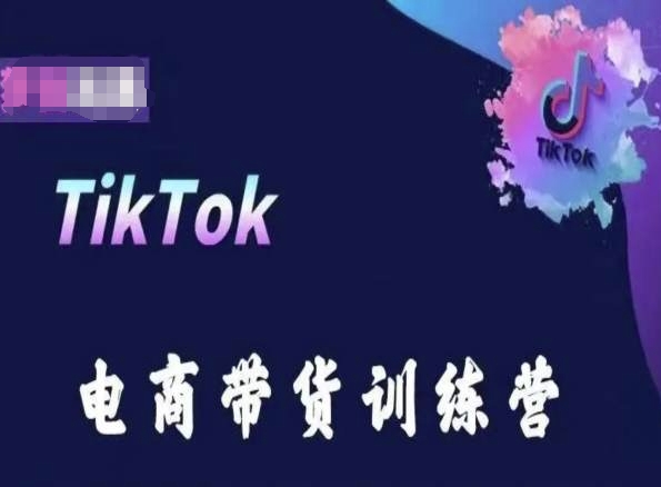 TikTok电商带货训练营,跟随时代潮流,跨境掘金-淘金日记