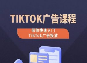 TikTok广告投放课程，从0-1实操课，带你快速入门TikTok广告投放-淘金日记
