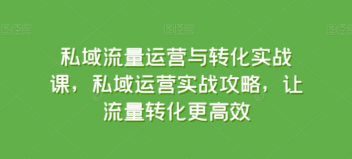 私域流量运营与转化实战课,私域运营实战攻略,让流量转化更高效-淘金日记
