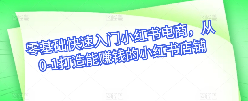 零基础快速入门小红书电商，从0-1打造能赚钱的小红书店铺-淘金日记