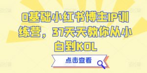 0基础小红书博主IP训练营,37天天教你从小白到KOL-淘金日记