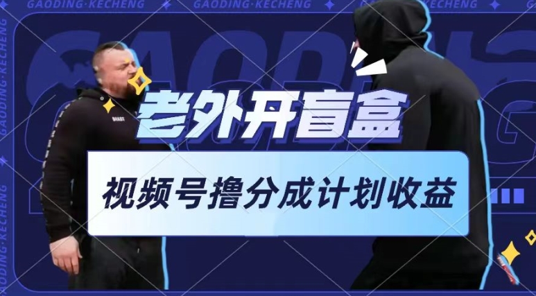 老外开盲盒视频，撸视频号分成计划收益，每天只需一小时，新手小白轻松上手【揭秘】-淘金日记