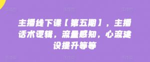 主播线下课【第五期】，主播话术逻辑，流量感知，心流建设提升等等-淘金日记