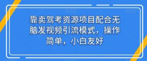 靠卖驾考资源项目配合无脑发视频引流模式,操作简单,小白友好【揭秘】-淘金日记