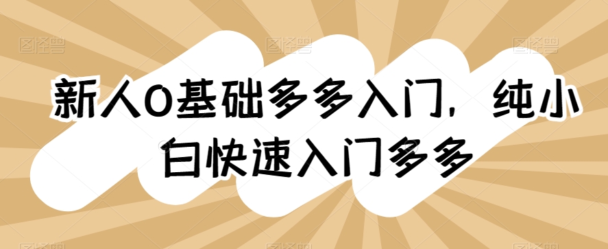 新人0基础多多入门,纯小白快速入门多多-淘金日记